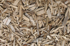 biomass boilers Apethorpe